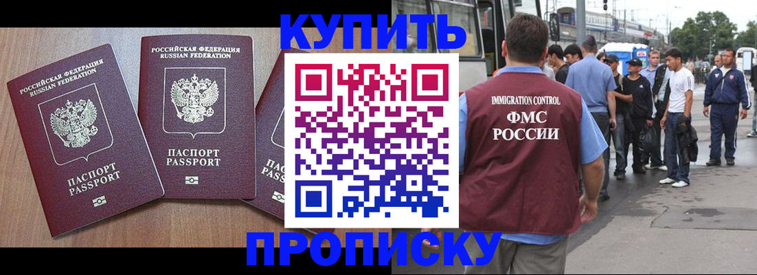 прописка 2025 в Вязьме